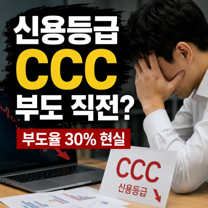 기업 신용등급 CCC 뜻, 사실상 부도 직전일까? 부도율 데이터로 본 진짜 의미