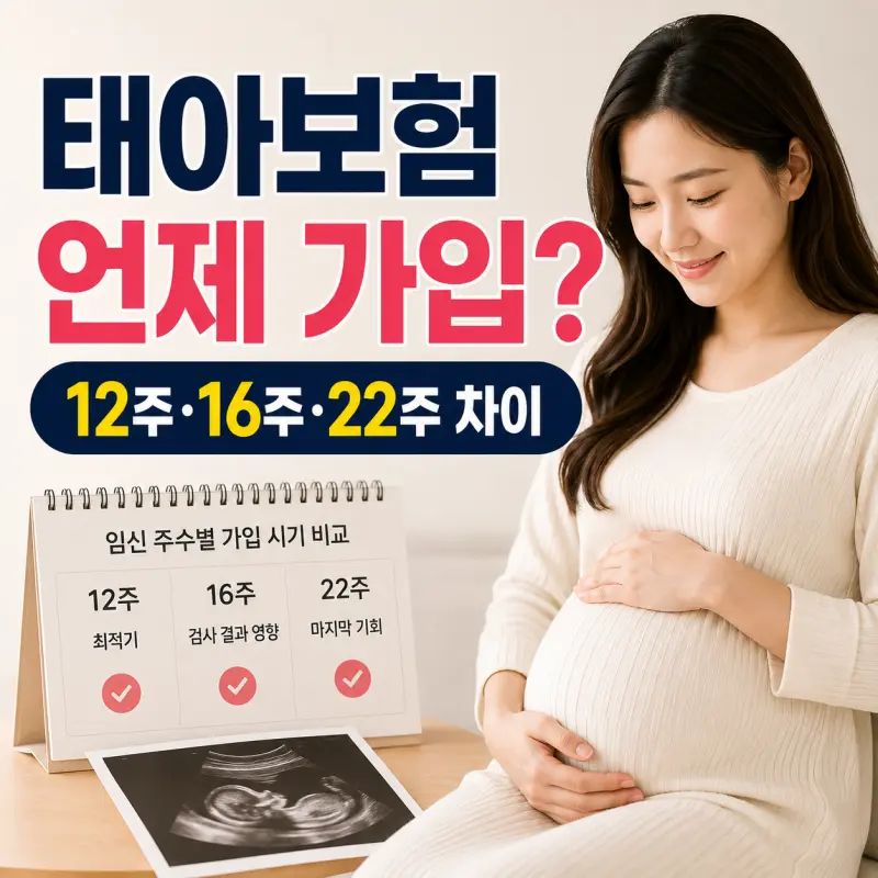 태아보험 가입시기 12주 16주 22주 비교