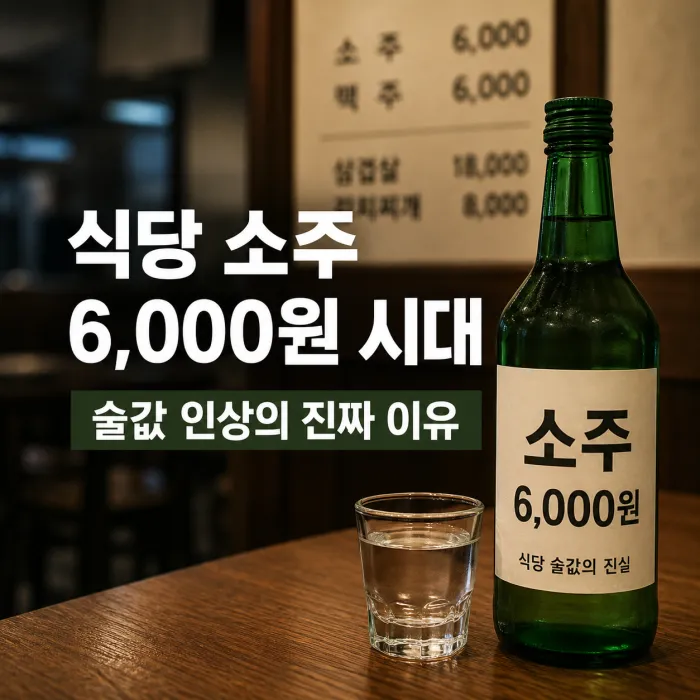 소주 출고가와 도매가격과 식당 판매가격을 비교한 이미지
