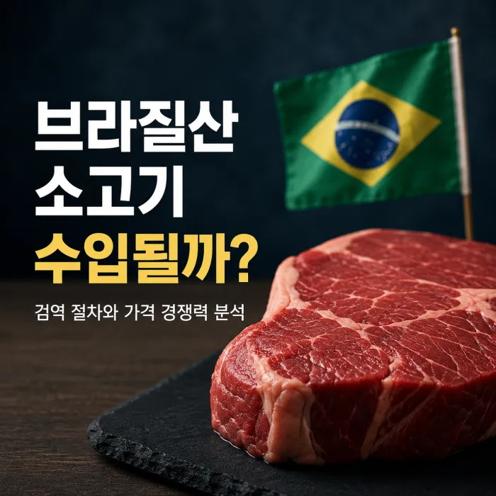 브라질산 소고기의 국내 수입 가능성과 미국산 호주산 가격 차이를 비교한 이미지