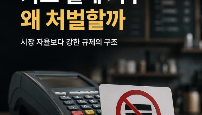 카드 결제 거부 처벌과 자영업자 카드 규제 구조 분석