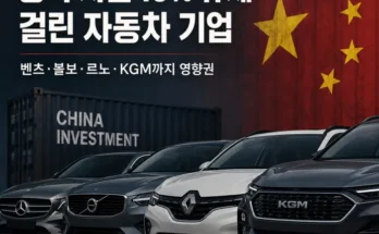 메르세데스 벤츠 르노코리아 KGM 등 주요 자동차 기업 중국 자본 지분율 비교