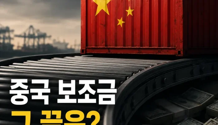 중국 보조금 정책과 제조업 과잉 생산 및 지방정부 부채 구조를 표현한 이미지