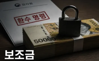 시민단체 법인 해산과 폐업으로 발생하는 보조금 환수 회피 구조를 설명하는 이미지